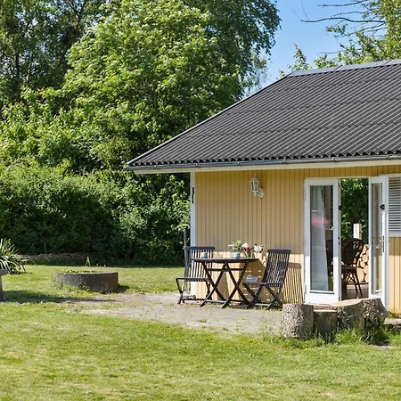 Feriehus Cozy In *